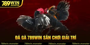 7-da-ga-789win-san-choi-giai-tri